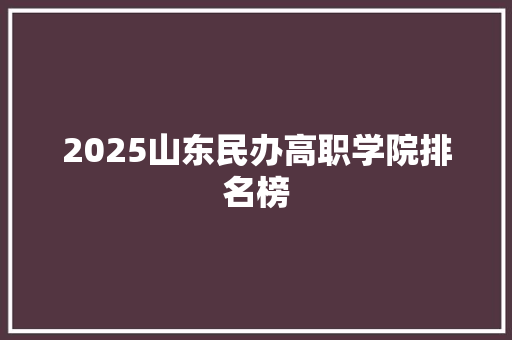 2025山东民办高职学院排名榜