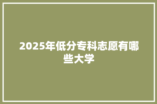 2025年低分专科志愿有哪些大学 说明文范文