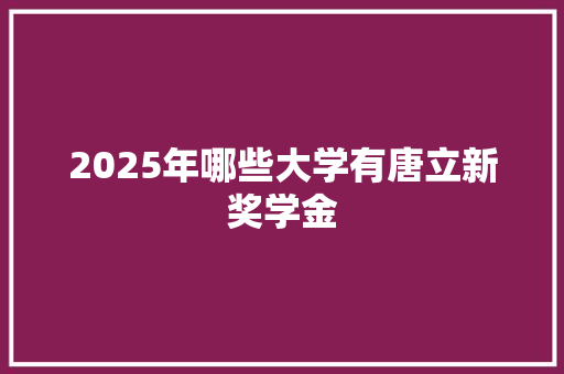 2025年哪些大学有唐立新奖学金