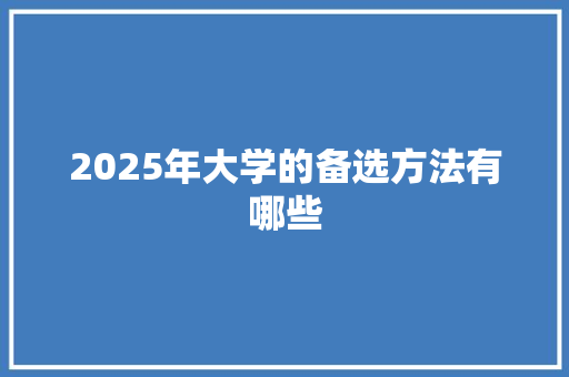 2025年大学的备选方法有哪些