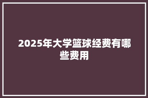 2025年大学篮球经费有哪些费用