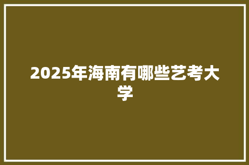 2025年海南有哪些艺考大学