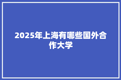 2025年上海有哪些国外合作大学