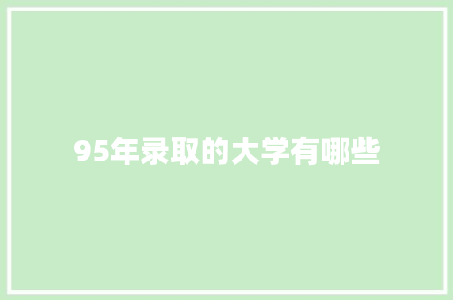 95年录取的大学有哪些 商业计划书范文