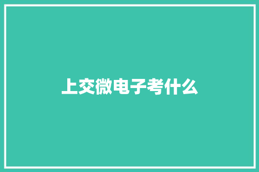 上交微电子考什么