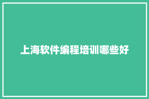 上海软件编程培训哪些好