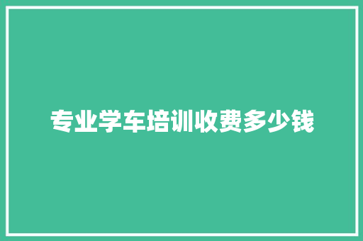 专业学车培训收费多少钱