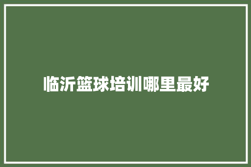 临沂篮球培训哪里最好