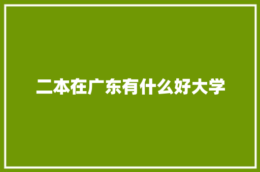 二本在广东有什么好大学
