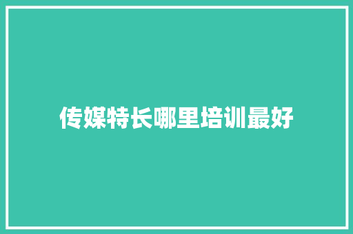 传媒特长哪里培训最好