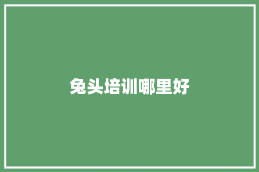 兔头培训哪里好