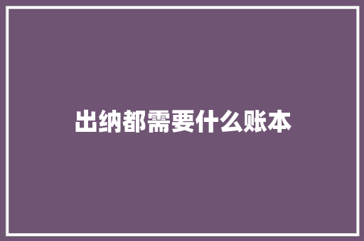 出纳都需要什么账本