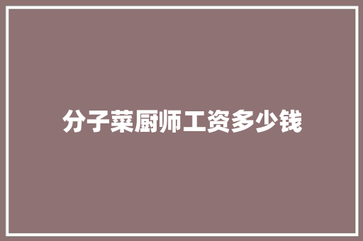 分子菜厨师工资多少钱