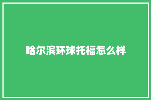 哈尔滨环球托福怎么样