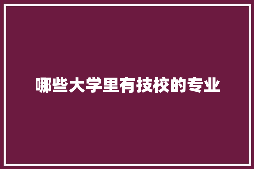 哪些大学里有技校的专业 商业计划书范文