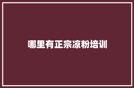 哪里有正宗凉粉培训