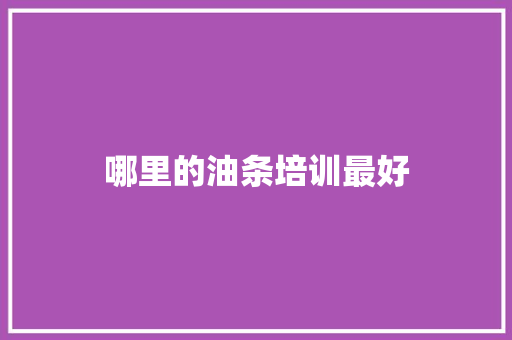 哪里的油条培训最好