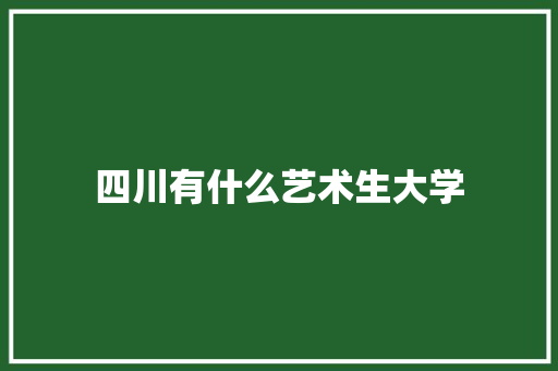 四川有什么艺术生大学
