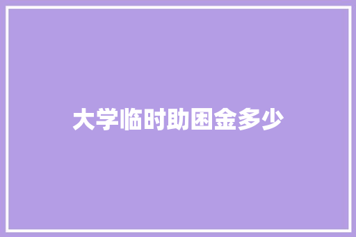 大学临时助困金多少