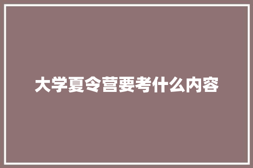 大学夏令营要考什么内容