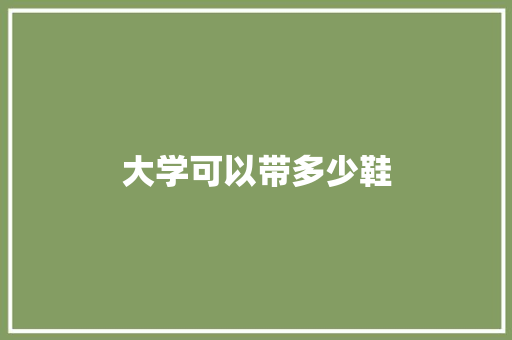 大学可以带多少鞋