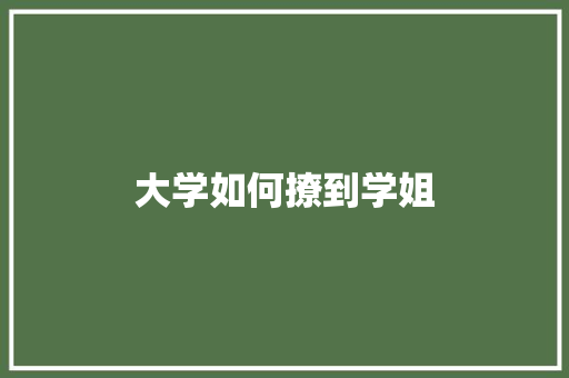 大学如何撩到学姐 商业计划书范文