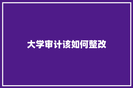 大学审计该如何整改