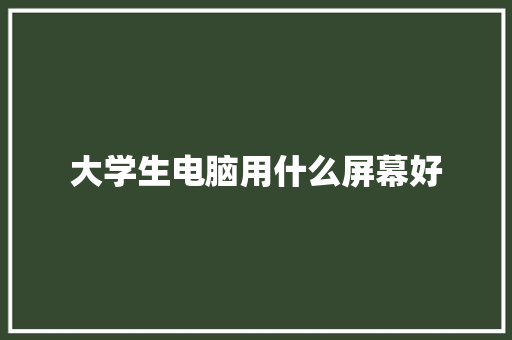 大学生电脑用什么屏幕好