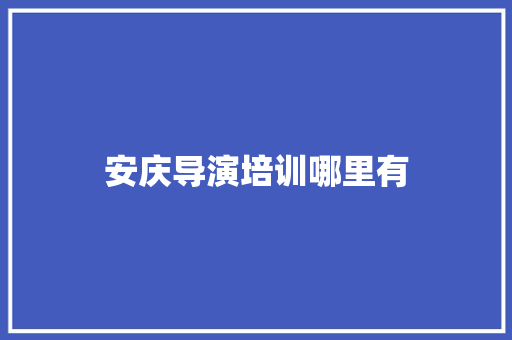 安庆导演培训哪里有