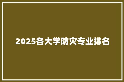 2025各大学防灾专业排名