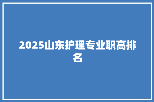 2025山东护理专业职高排名 简历范文