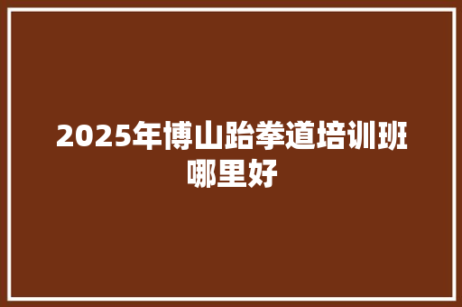 2025年博山跆拳道培训班哪里好