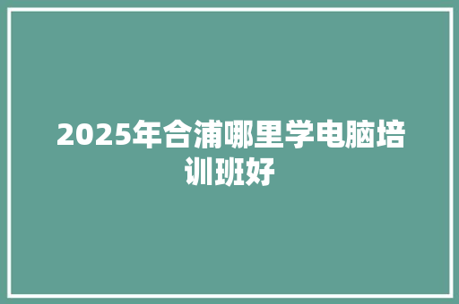 2025年合浦哪里学电脑培训班好