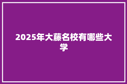 2025年大藤名校有哪些大学