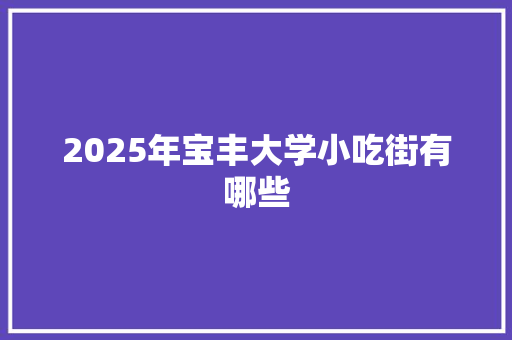 2025年宝丰大学小吃街有哪些