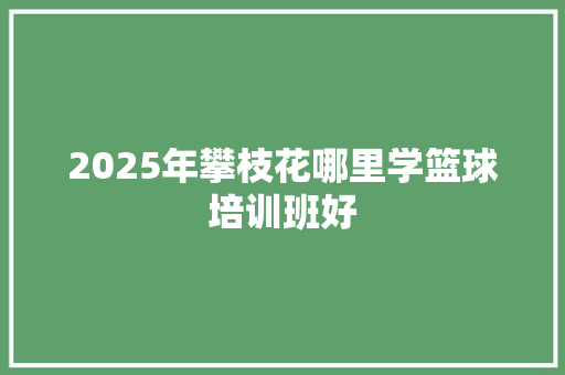 2025年攀枝花哪里学篮球培训班好