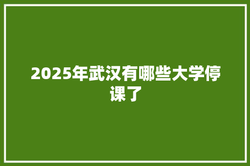 2025年武汉有哪些大学停课了
