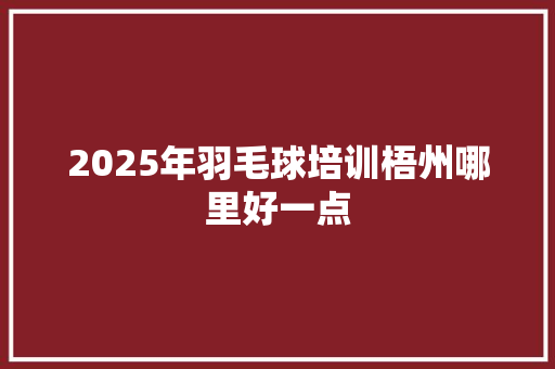 2025年羽毛球培训梧州哪里好一点