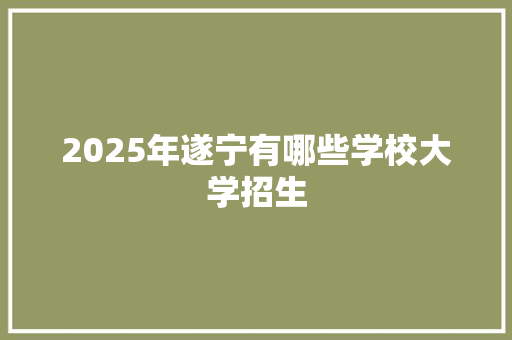 2025年遂宁有哪些学校大学招生 演讲稿范文