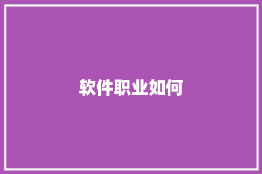 软件职业如何