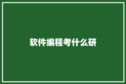 软件编程考什么研