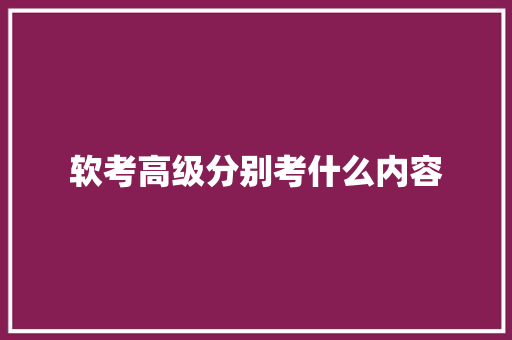 软考高级分别考什么内容 记叙文范文