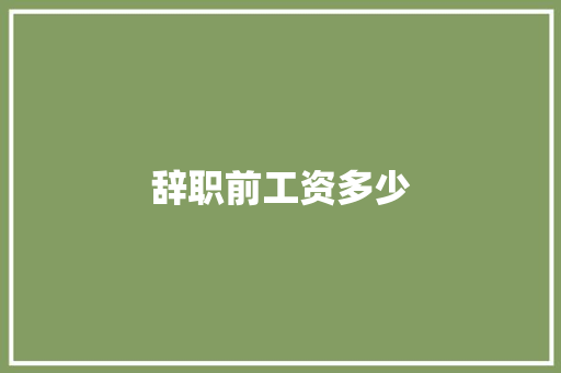 辞职前工资多少 演讲稿范文