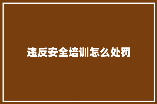 违反安全培训怎么处罚