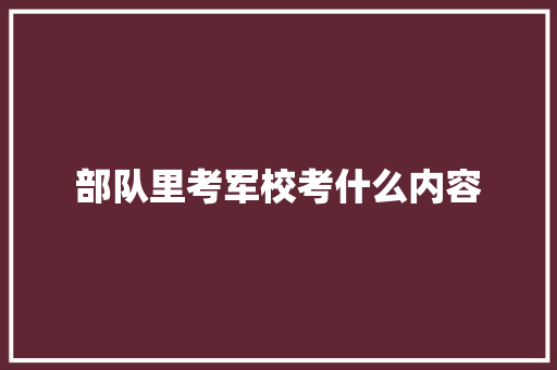部队里考军校考什么内容