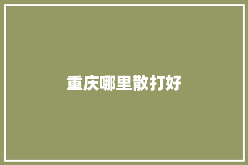 重庆哪里散打好