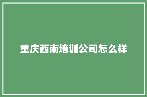 重庆西南培训公司怎么样