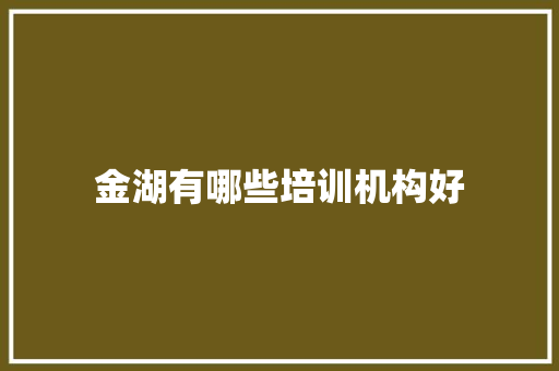 金湖有哪些培训机构好
