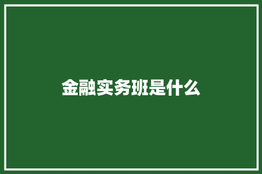 金融实务班是什么