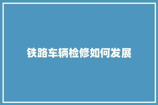 铁路车辆检修如何发展
